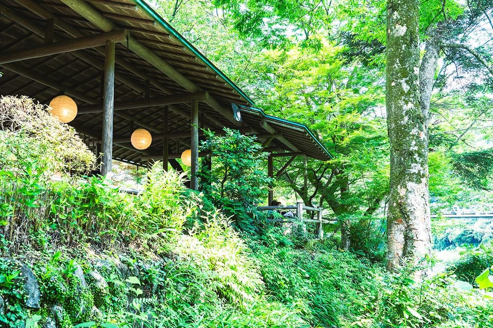 Mitake Ravine Hiking, Sake, and Art Tour Review - Discovering Natural Beauty