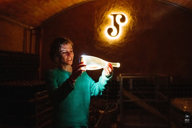 Montserrat and Cava Winery Full-Day Trip From Barcelona - Vineyard Tour and Tasting