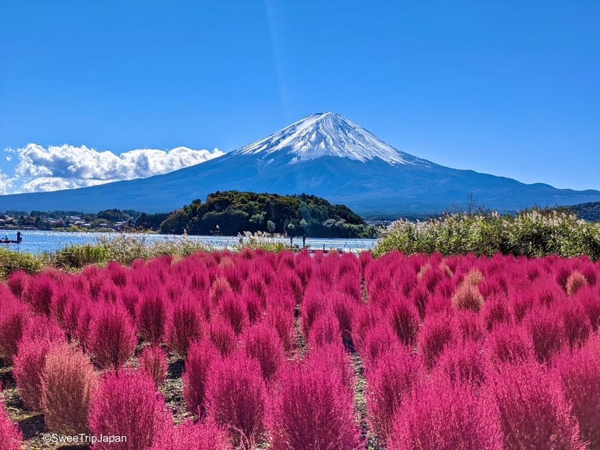 Mount Fuji Sightseeing Trip Review - Additional Information