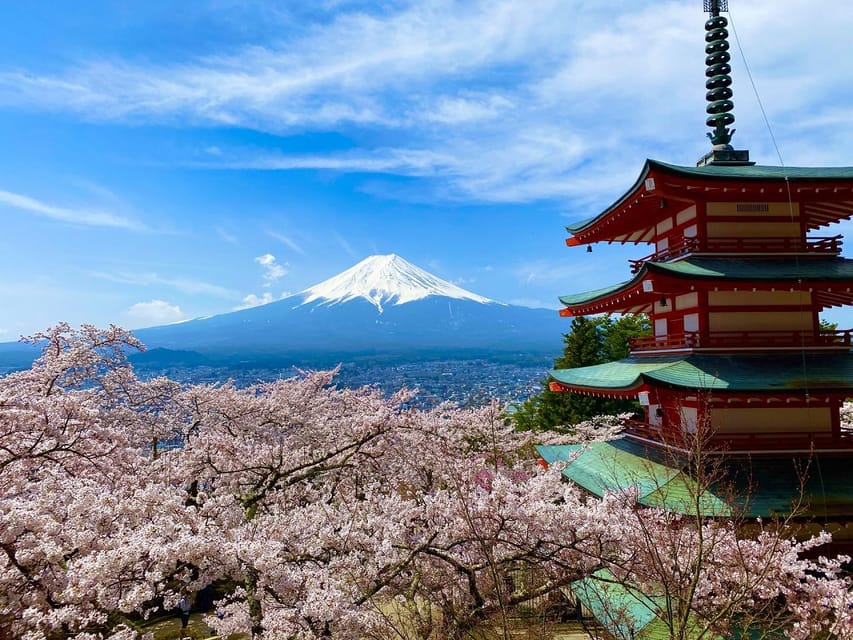 Mt. Fuji Area One Day Private Tour From Tokyo - Guided Experience