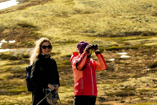 Muskox Safari From Hjerkinn | Dovre & Lesja Aktiv - Additional Information