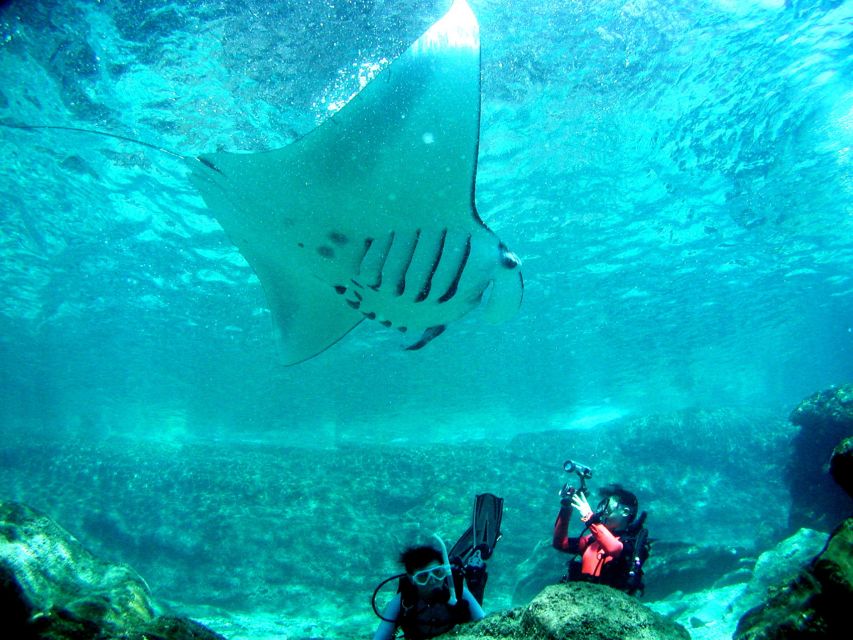 National Park Kerama Islands 2 Boat Fan Diving (With Rental) - What to Bring and Not Bring