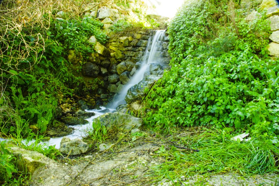 Nature Highlights Private Walking Tour With Transport - Pickup and Dropoff