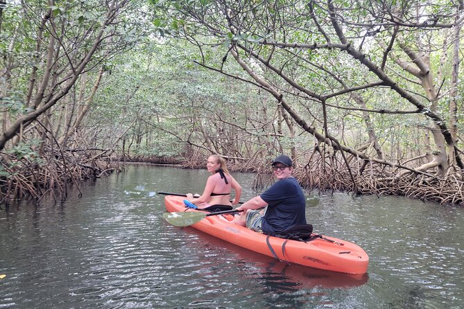 Nature & Island Exploration on SUP/Kayak - Important Information