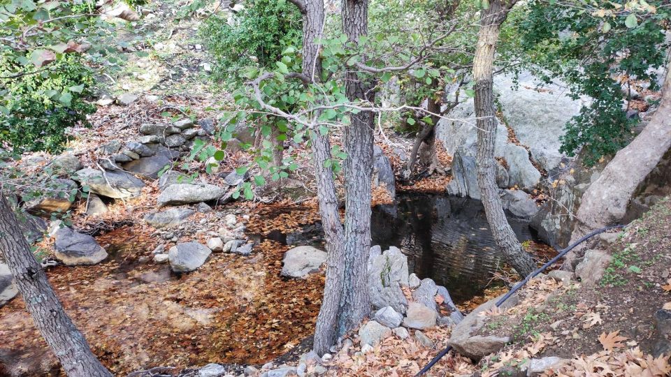 Naxos: West Coast Mountain Bike Trail To Ghost Town - Cancellation Policy