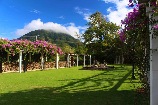 Nevis Full-Day Island Tour From St Kitts via Ferry (Reconfirm 48 Hours) - Local Dining Options