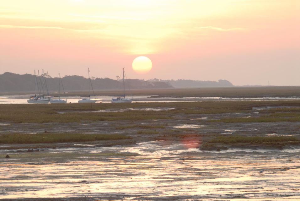 New Forest Discovery Walk (Lymington) - Panoramic Views and Sights