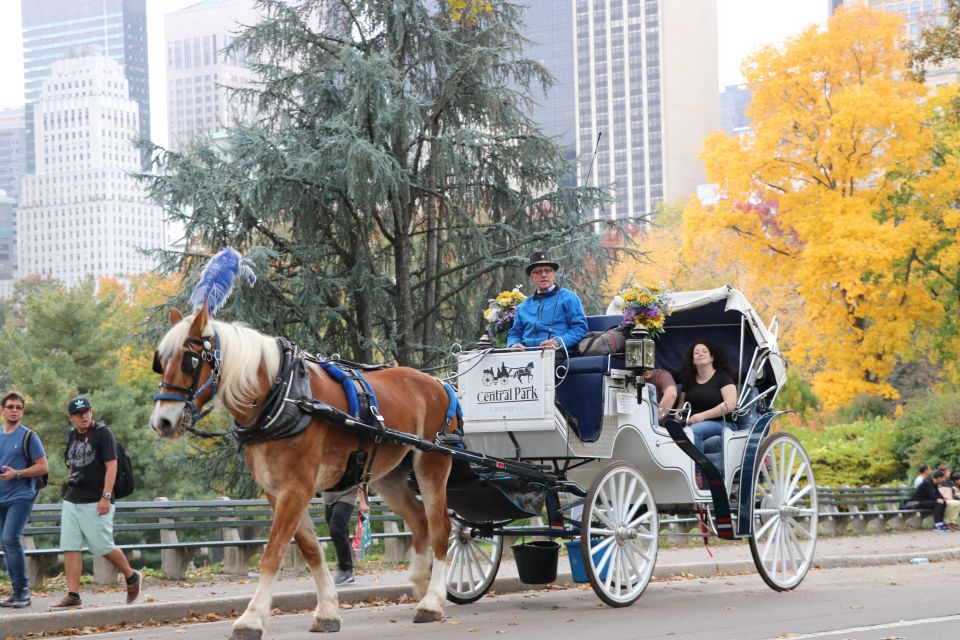 NYC: Guided Standard Central Park Carriage Ride (4 Adults) - Natural Beauty of Central Park