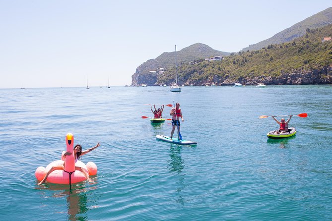 Ocean Bliss: Full Day Arrábida Private Yacht Tour From Lisbon - Spotting Marine Life