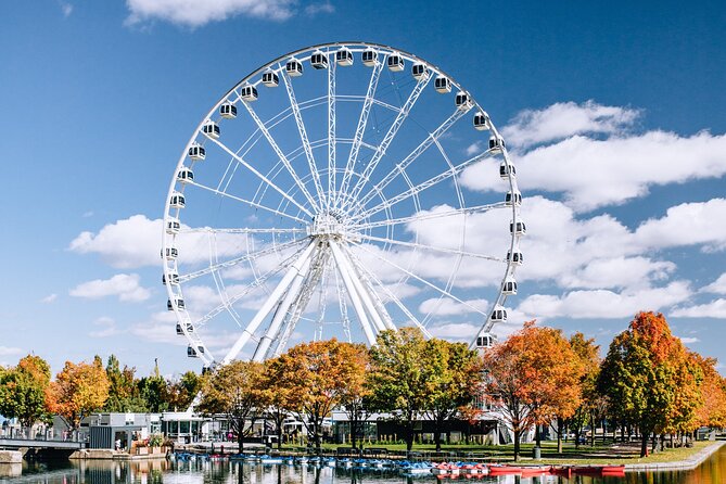 Old Montreal East to West - Walking Tour - Highlights Along the Way