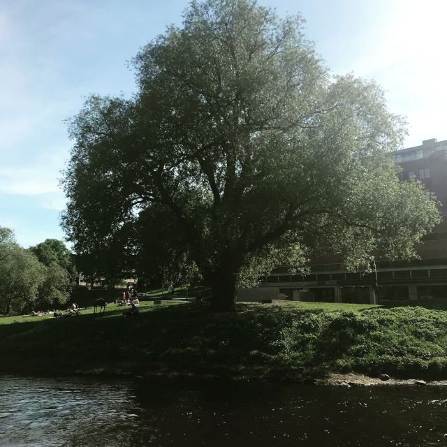 Oslo: Riverwalk and Norwegian Food Tasting - Frequently Asked Questions