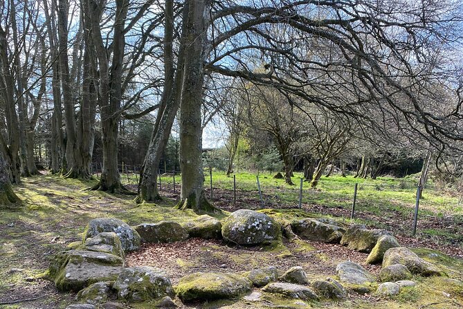 Outlander Adventure, The Stones, The Battle, Loch Ness & More - Encountering Highland Cows