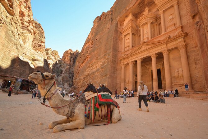 Petra & Dead Sea - One Day Private Tour - Experience Highlights