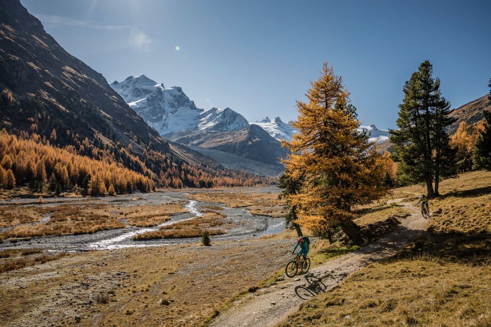 Point of View on the Glaciers of Chamonix by Ebike - Accessibility and Height Requirements