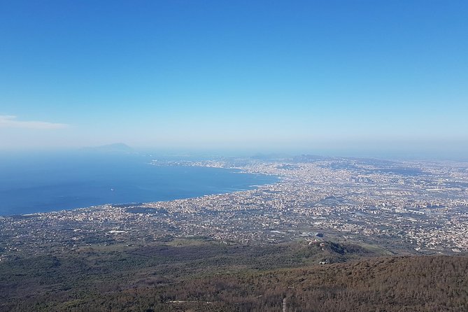 Pompeii and Vesuvius Day Trip From Naples With Skip the Line - Exploring Pompeii Independently