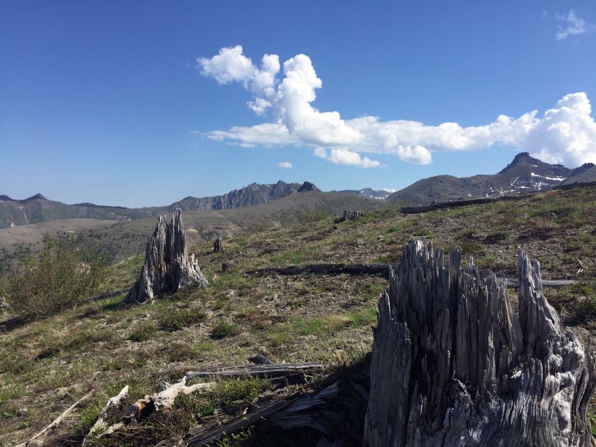 Portland: The Mt. St. Helens Adventure Tour - Admiring a Cascading Waterfall