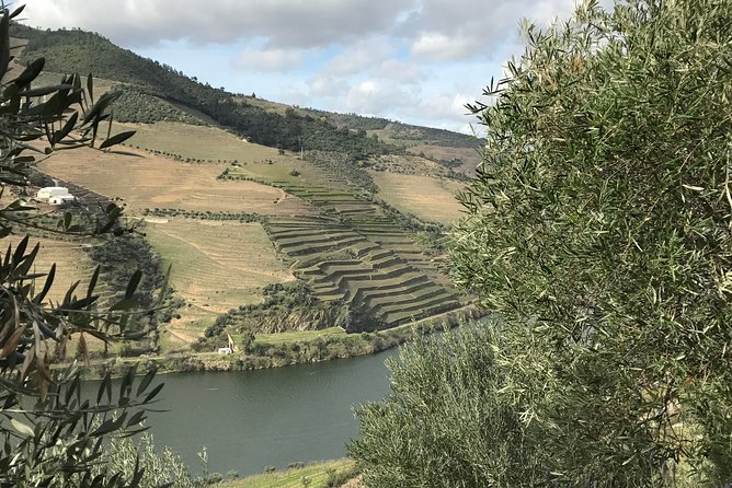 Private Douro Valley Tour Includes Wine Tasting and Boat Tour - Included Experiences