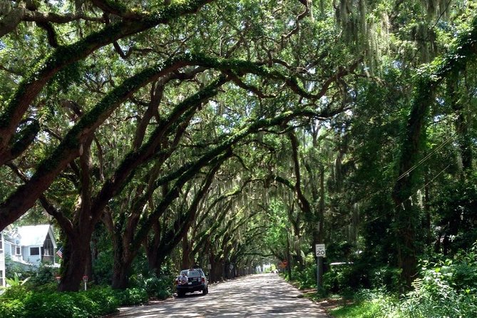 Private Guided Historic Electric Cart Tour of St. Augustine - Tailored Itinerary for Personalized Experience