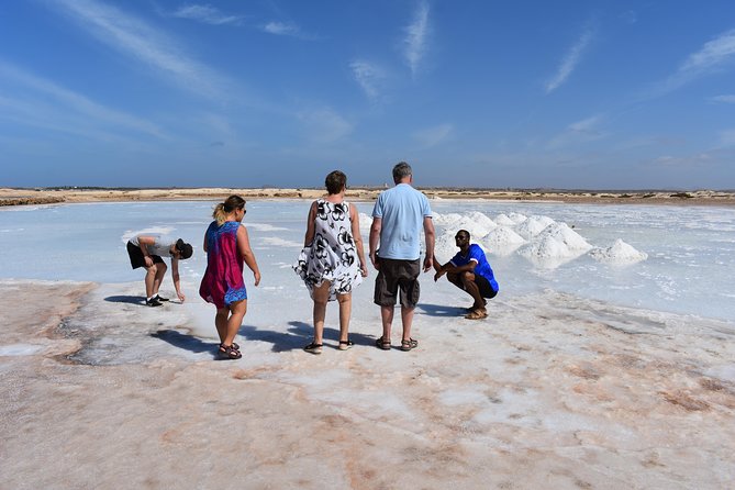 Private Sal Island Tour Authentic Experience From Santa Maria - Accessibility and Restrictions