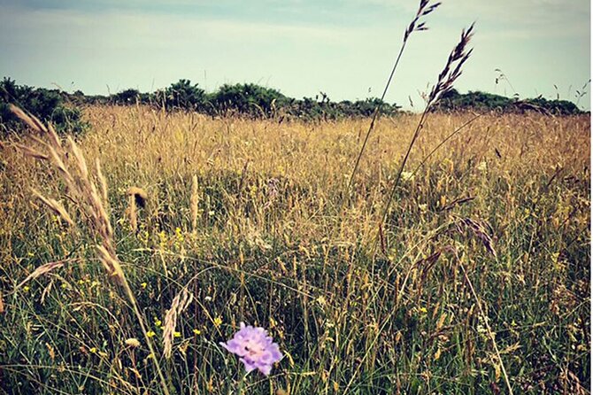 Private Salisbury Plain Off-Road Tour - Tour Confirmation Process