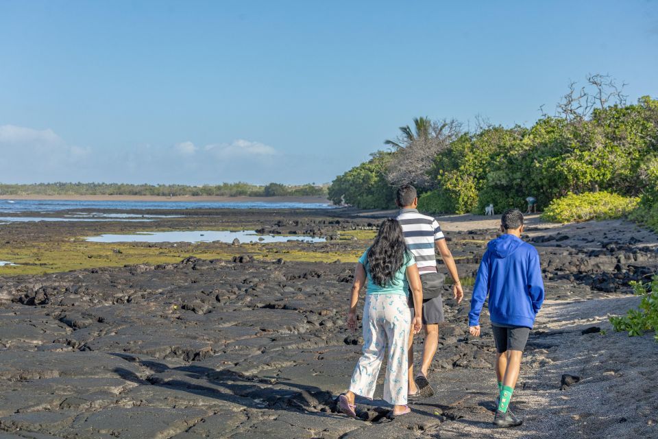 Private Shore Excursion Kona Coffee & National Historic Park - Included Amenities