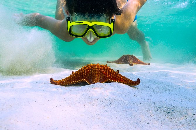 Private Stingray City Snorkeling and BioBay Charter for 6 Guests - Important Notes