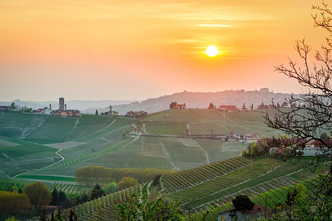 Private Tour: Barolo Wine Tasting in Langhe Area From Torino - Explore Piedmont Region