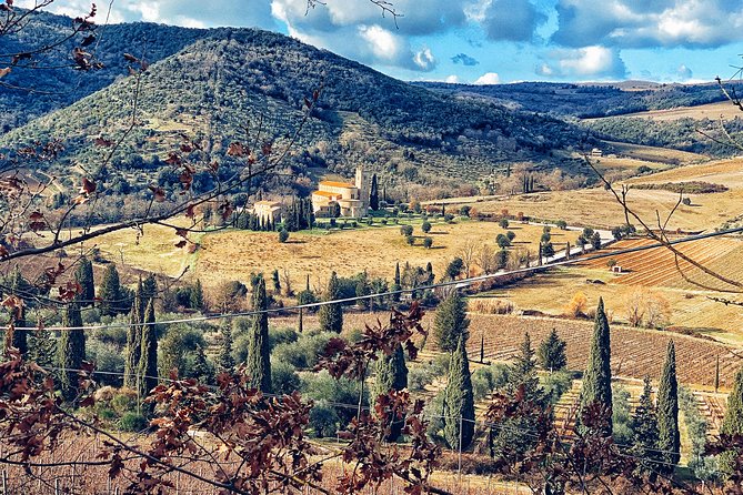 Private Tour: Montalcino Wine Tasting Experience - Cancellation Policy