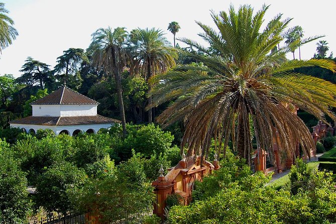 Private Tour One Day in Seville - Exploring Sevilles History