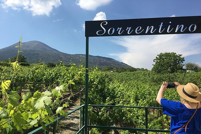 Private Vineyard Tour and Lunch With Dedicated Sommelier and Private Trasport - Stunning Coastal Views