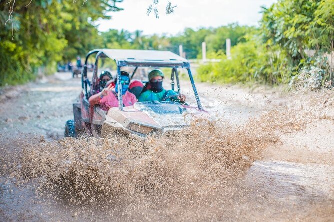 Punta Cana: Exclusive Buggy Adventure- Beach & Jungle Small Group - Safety and Health Considerations