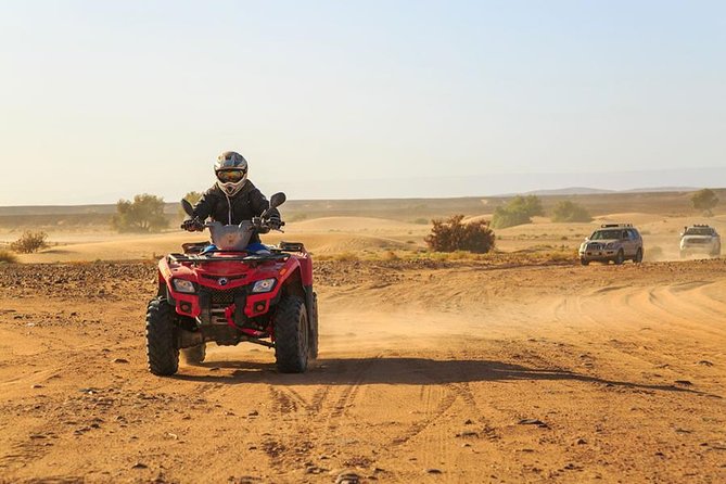 Quad and Camel Ride in the Palmgrove of Marrakech - Booking and Cancellation Policy