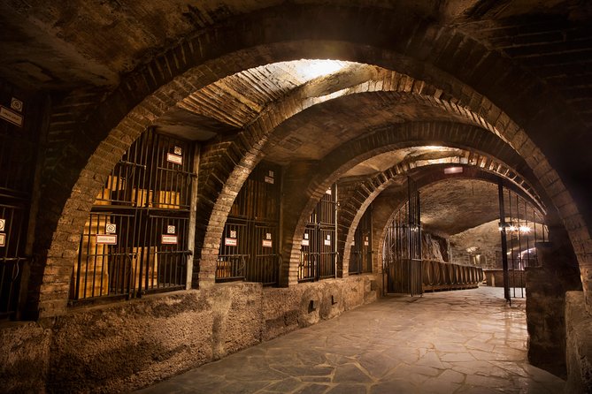 Rioja Wine Tour: 2 Wineries From Bilbao - Visiting the Vineyards