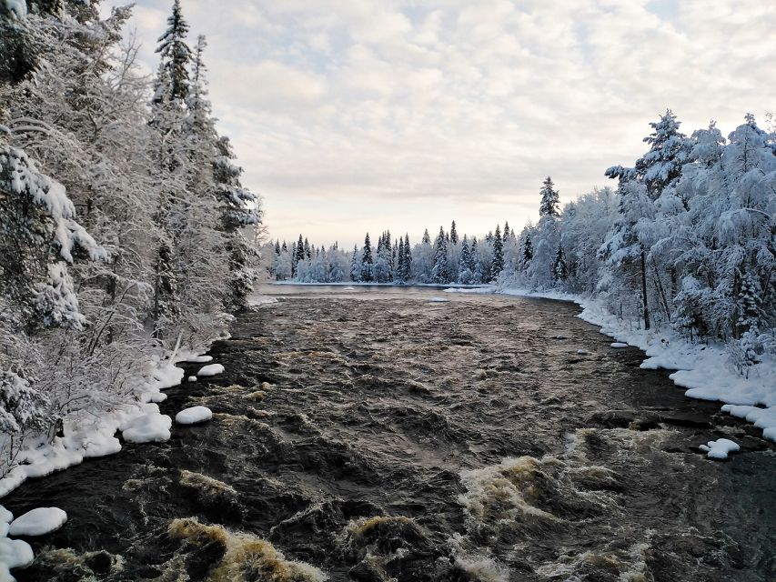 Rovaniemi: Vaattunki Hiking Arctic Circle Trail - Inclusions and Essentials to Bring