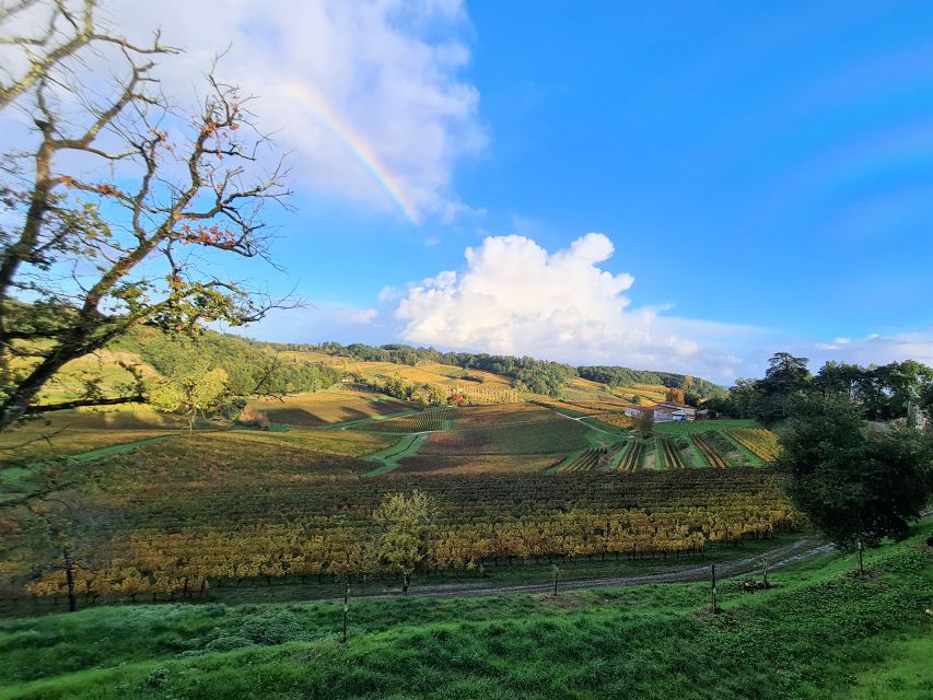 Saint-Emilion Morning Wine Tour - Winery & Tastings - Frequently Asked Questions