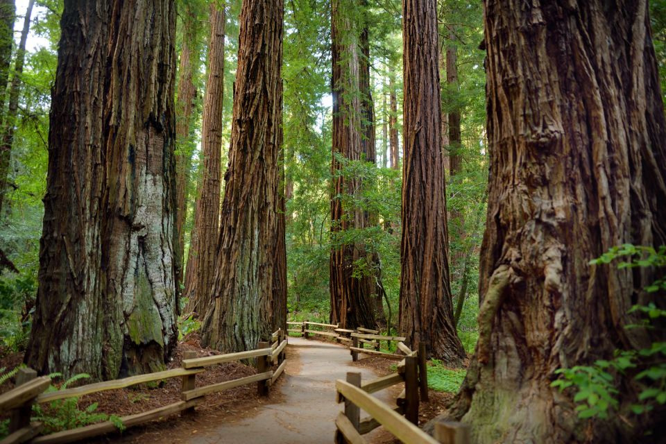 San Francisco: Private Muir Woods and Sausalito Tour - Inclusions and Exclusions