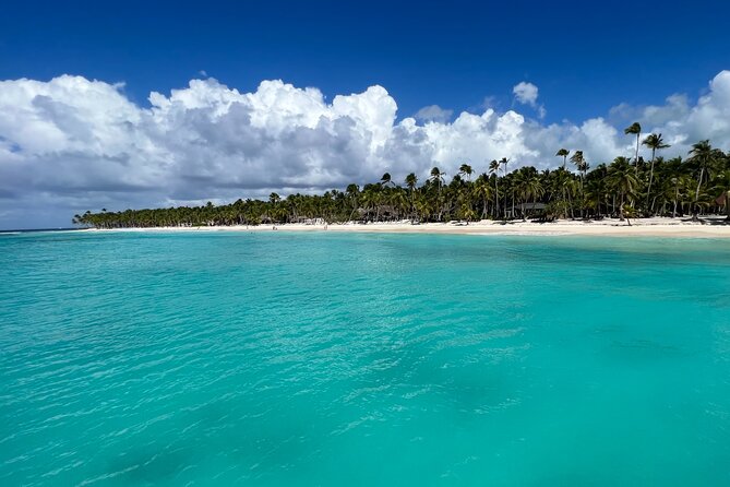 Saona Island Premium Discovery Tour From Punta Cana or Bayahíbe - Highlights of the Tour