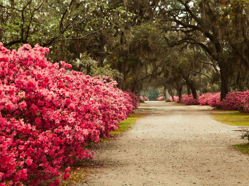 Savannah: Bonaventure Cemetery Tour - Booking and Cancellation