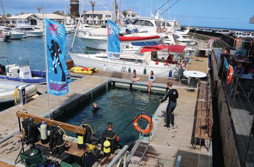 Scuba Diving Baptism in Caleta De Fuste - Diving Immersion Experience