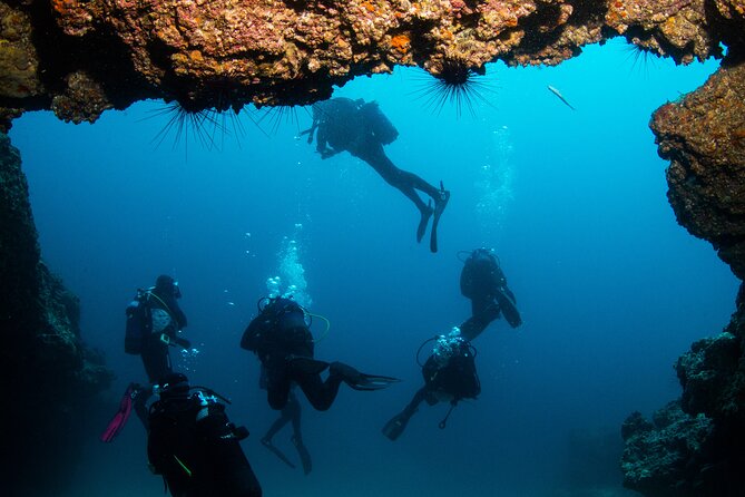 Single Scuba Try-Dive in Puerto Del Carmen - Small Groups - 2 Hours - Safety and Commitment