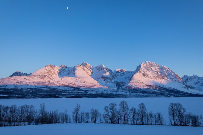 Small Group, Arctic Landscape Blue Day Tour With Creative Vacations - Diverse Shades of Blue