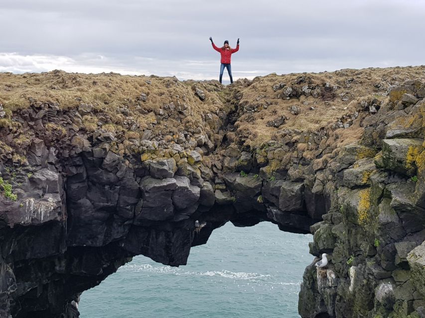 Snæfellsnes: Small-Group Hidden Treasures of The West Tour - Ytri Tunga Seal Colony