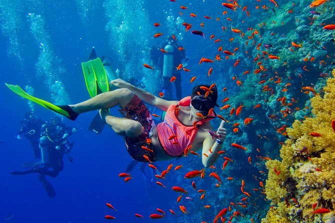 Snorkeling at Mnemba Atoll - Tropical Marine Life