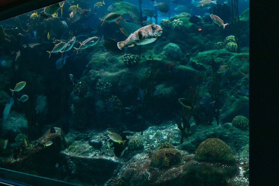 Tampa: The Florida Aquarium Ticket - Accessibility and Reservation