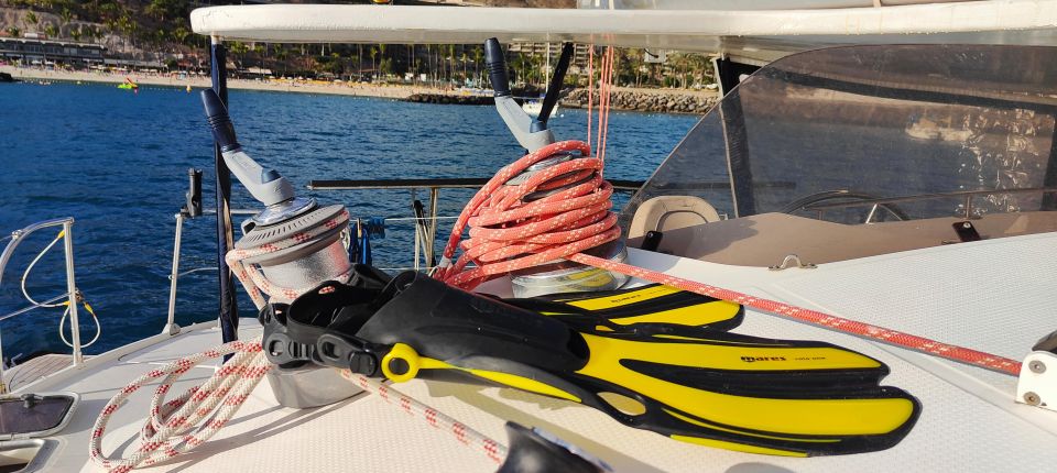 Tenerife: Catamaran Sailing Trip With Snorkeling and Lunch - Important Considerations