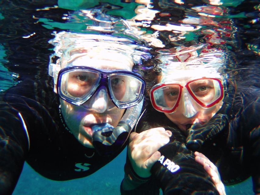 Tenerife Exclusive Snorkeling Trip With Marine Biologist - Things To Known