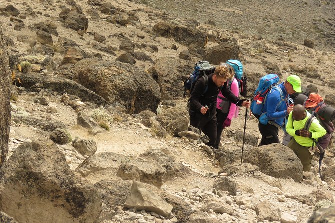 The Best & Unique Kilimanjaro Hiking Tour 7 Days Machame Route - Fitness Level and Group Size