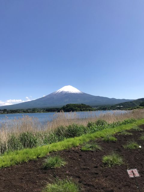 Tokyo: Mt Fuji Area Guided Tour With Traditional Lunch - Inclusions and Exclusions