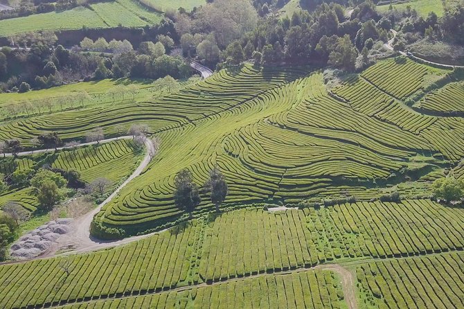 Tour to Furnas and Terra Nostra Garden - Full Day - Price and Cancellation