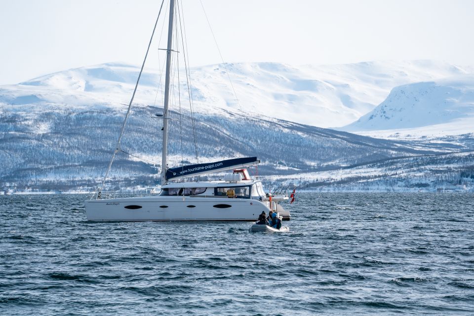 Tromso: Sightseeing Cruise by Catamaran With Snacks & Drinks - Additional Details